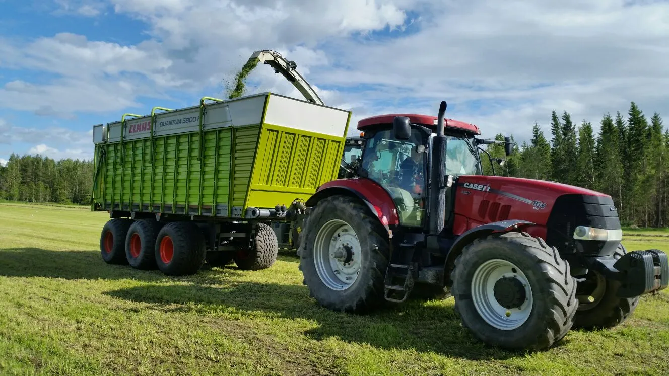 Punainen traktori vetää vihreää kuormatilaa avaralla nurmikkoalalla, jossa leikattu ruoho virtaa kärryyn.