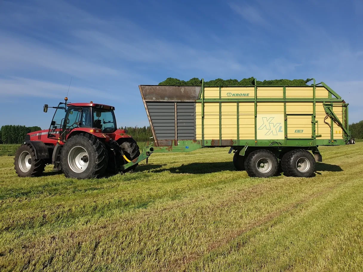 Punainen traktori vetää keltaista ja vihreää Krone-heinävaunua pellolla auringonpaisteessa.